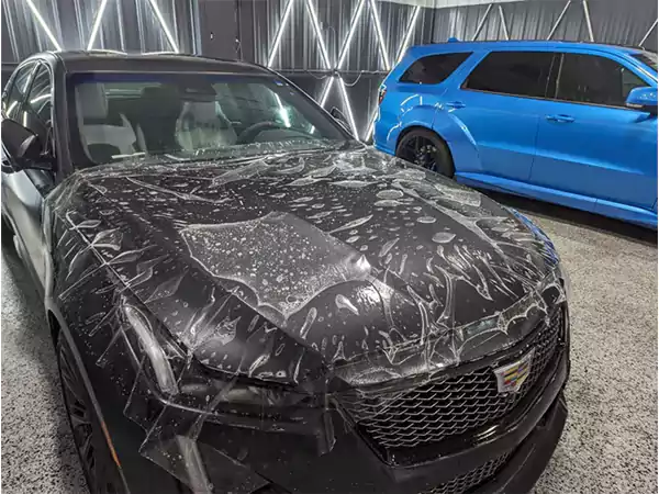 Comparison Between Professional and DIY Paint