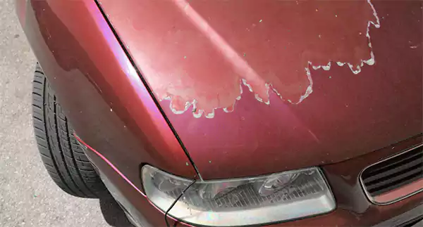 Why is it Important to Repaint Your Car