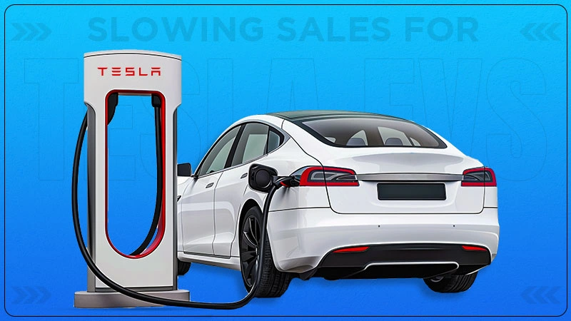 Slowing Sales For Tesla EVs