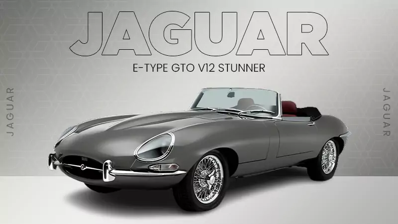 Jaguar E-Type GTO V12 Stunner