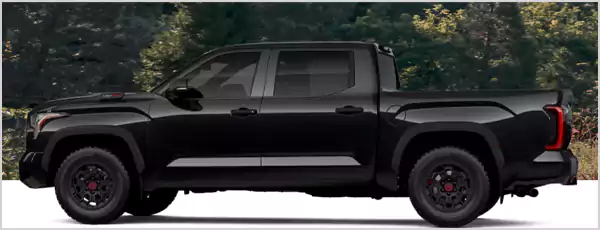 Midnight Black Metallic