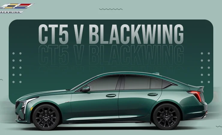 ct5 v blackwing