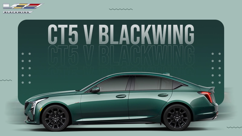 ct5 v blackwing