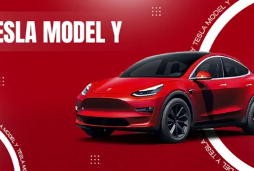 tesla y model