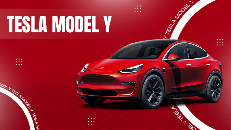 tesla y model