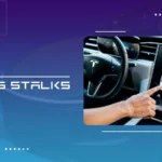restore tesla;s stalks